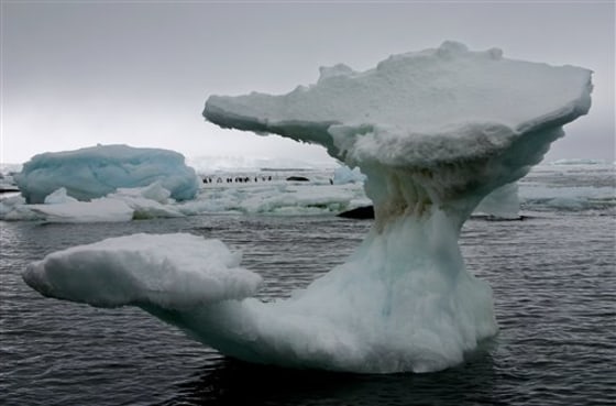 TRAVEL TRIP ANTARCTICA