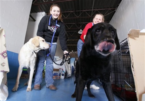 Midwest Flooding Animals
