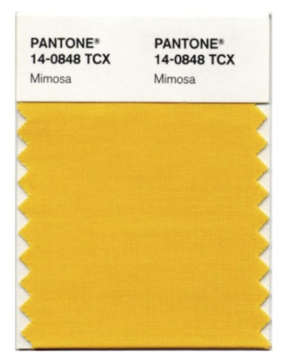 Fashion Color Of The Year