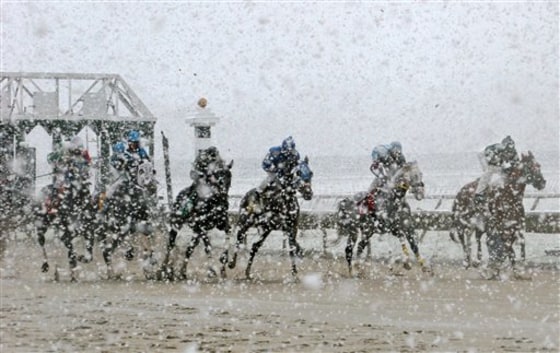 Horse Racing October Snow