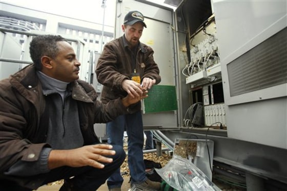 Inauguration Wireless