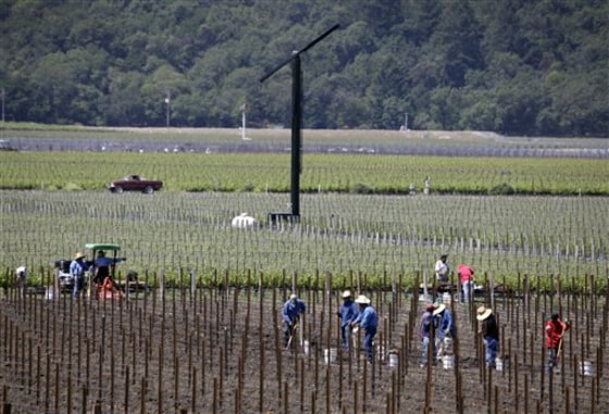 Bucking the Recession