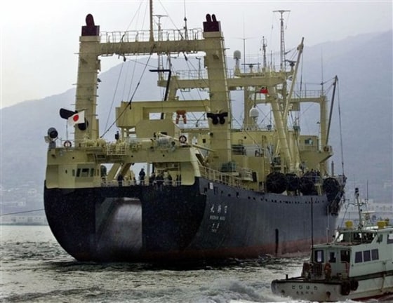 Japan Hunting Humpbacks