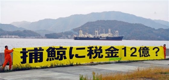 Japan Whaling