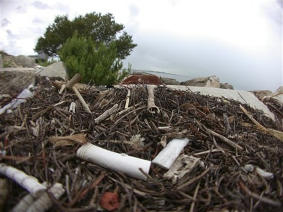 Beach Trash