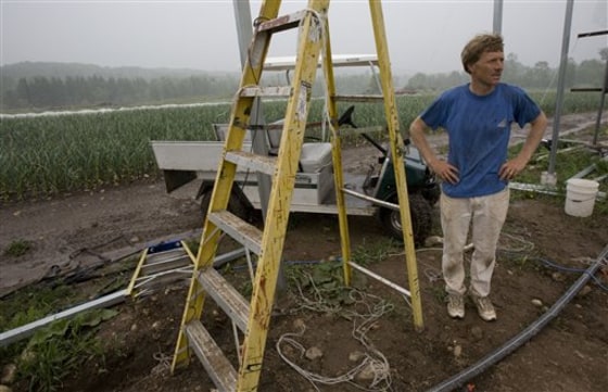 Farm Scene Sharing Harvests
