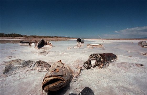 CORRECTION SALTON SEA