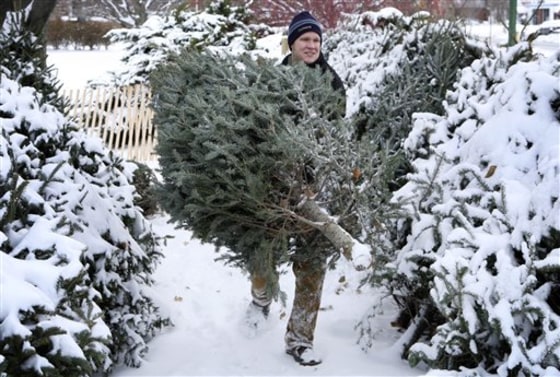 Christmas Tree Blues