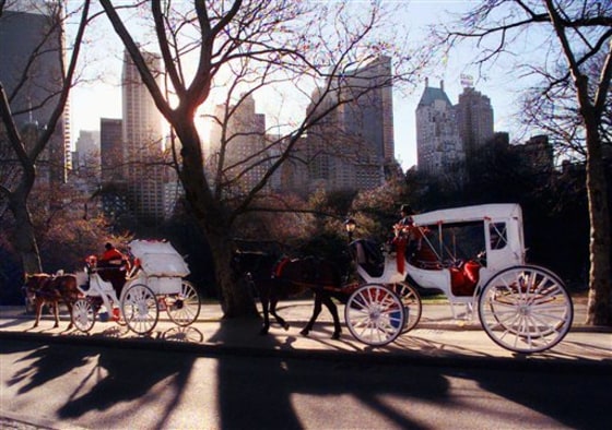 HORSE DRAWN CARRIAGE