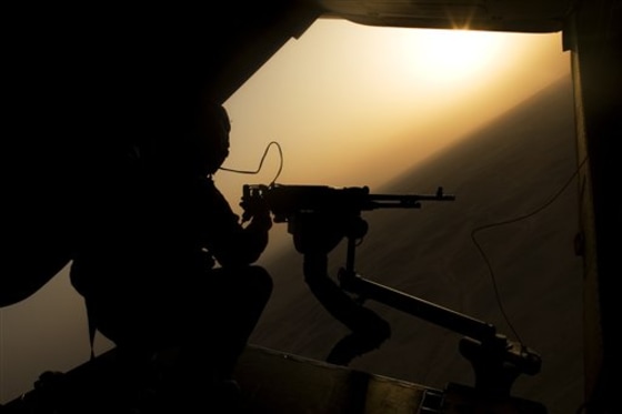 Iraq Bats from Hell