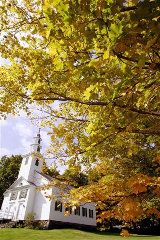Meltdown Foliage Tourism