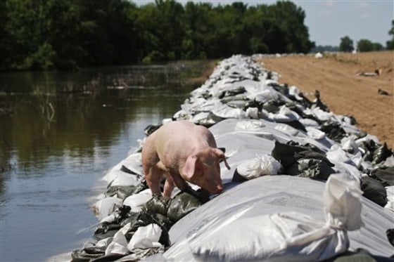 Midwest Flooding