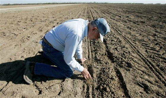 Farm Scene Texas Drought