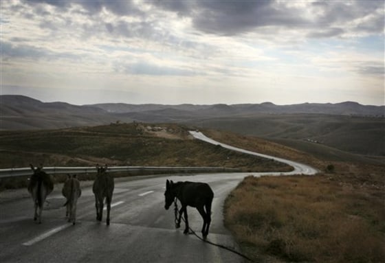 Israel Sliced Habitat