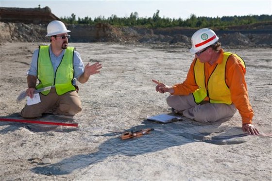 New field of dinosaur tracks found in Arkansas