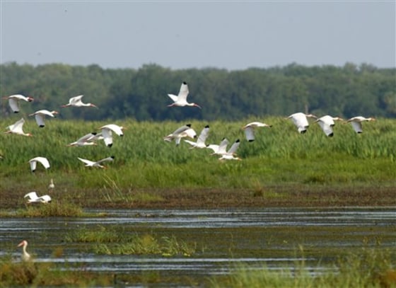 Everglades Reservoirs