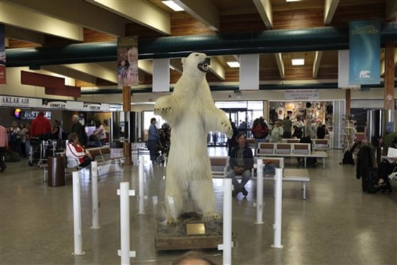 Climate 09 The White Bear