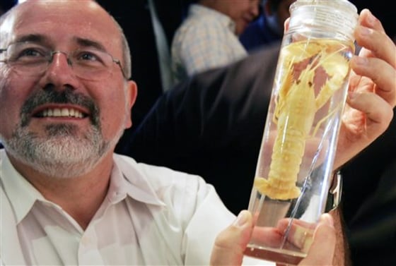 PHILIPPINES NEWLY DISCOVERED SPECIES