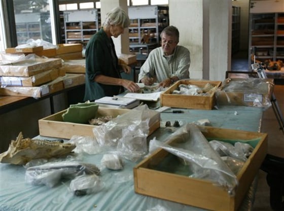 KENYA FOSSIL DEBATE