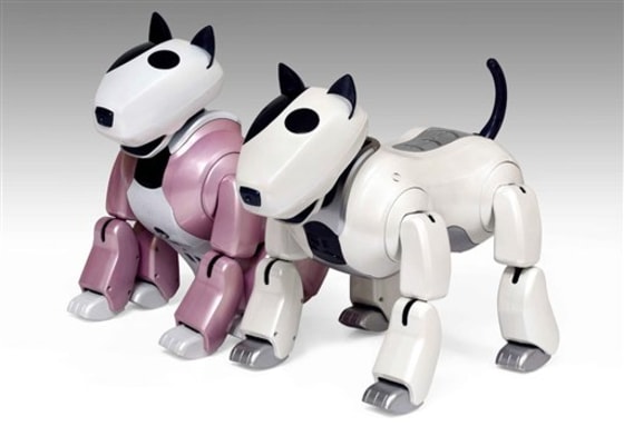 Robo dog aibo on sale