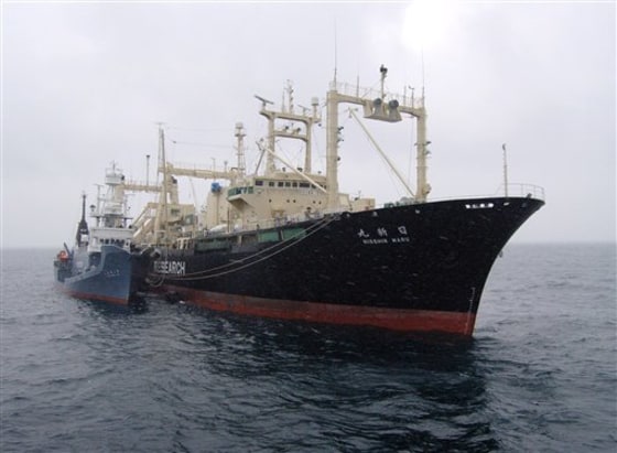 Japan downplays Antarctic whaling ship fire