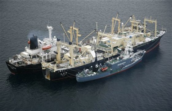 Antarctica Whaling Ship Fire