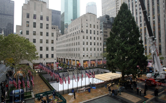 Workers Set Up Christmas Tree In NYC's Rockefeller Center