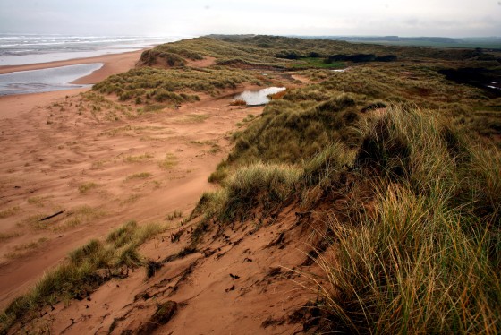 Donald Trump Is One Step Closer To Golf Club Victory