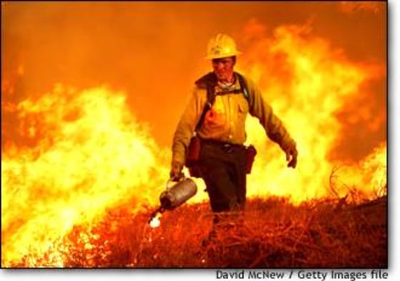 Wildfires like this one in Borrego Springs, Calif., in August can profoundly change ecosystems by harming watersheds and destroying animal habitats.