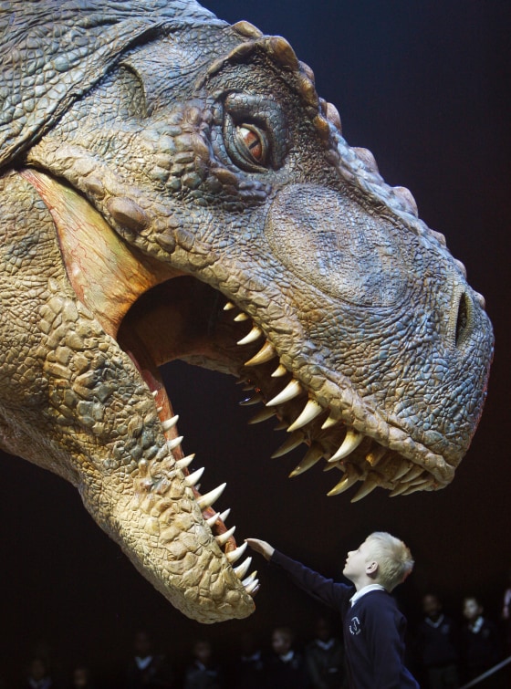 Eight-year-old Jack Osbourne reaches out to touch the teeth of a moving life-size Tyrannosaurus Rex dinosaur during a press launch of \"Walking with Dinosaurs\" at the O2 Arena in London on March 18, 2009.