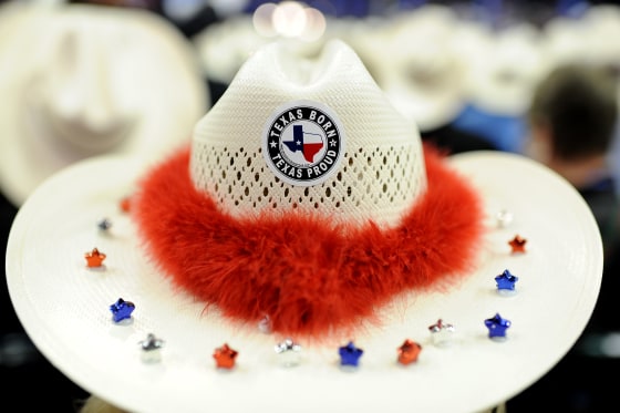 A Texas delegate at the Republican National Convention, Aug. 30, 2012, in tampa, Fla.