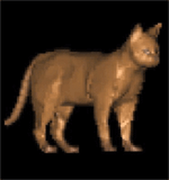 This animation shows how MIT's Earl Miller created images that reflected as close as a 60-40 balance between "catness" and "dogness." Images copyright Science.