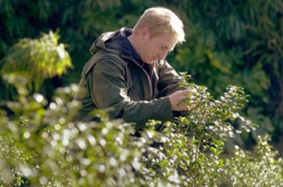 Jonathon Jones, head gardener at the Tregnothnan Estate in England, examines tea plants.