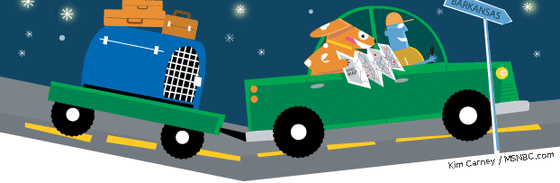 Traveling with your pet