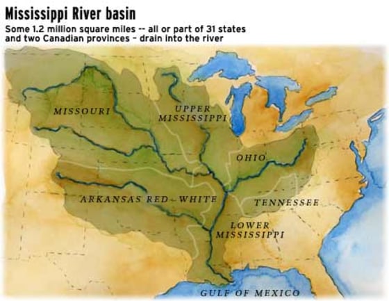 A river journey, from brook to behemoth