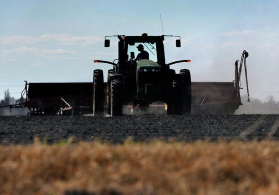 Image: Wheat farm in Minn.