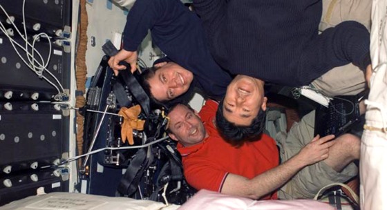 Image: STS-123 mission specialists
