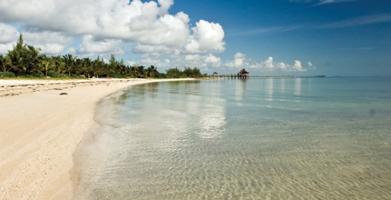 Image: beach on Andros