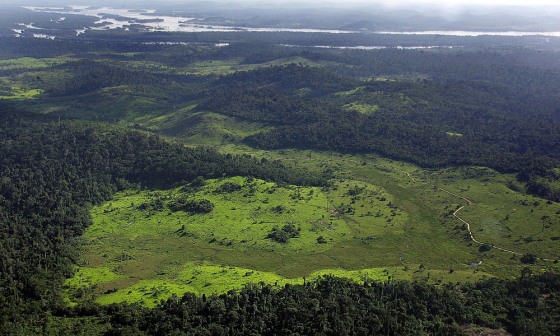 Image: A deforested area in the border of Xingu river, northern Brazil