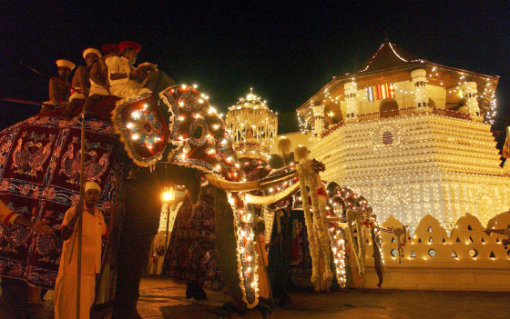 Image: Kandy festival in Sri Lanka