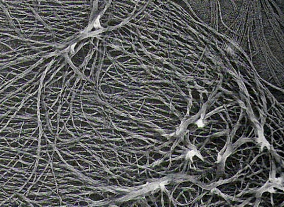 Image: Inclusion brine