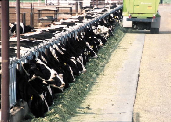 Farms where livestock are concentrated have become a battleground over how much pollution control they should be subject to.