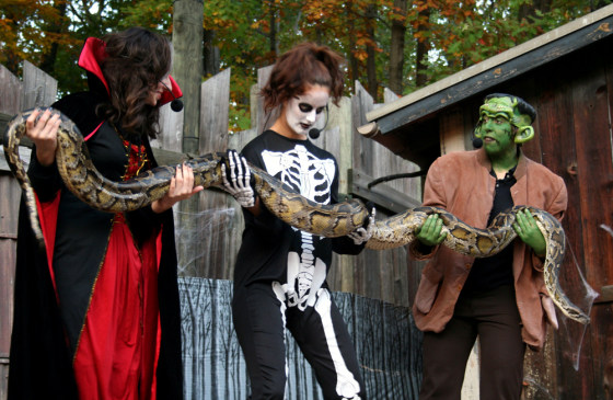 Image: Boo at the Zoo