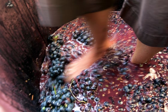 Image: Grape stomping