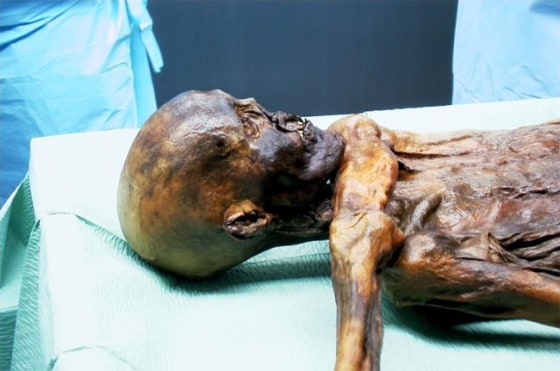 Genetic material from the Iceman mummy suggests this Neolithic man has no modern-day relatives on his mom's side of the family.