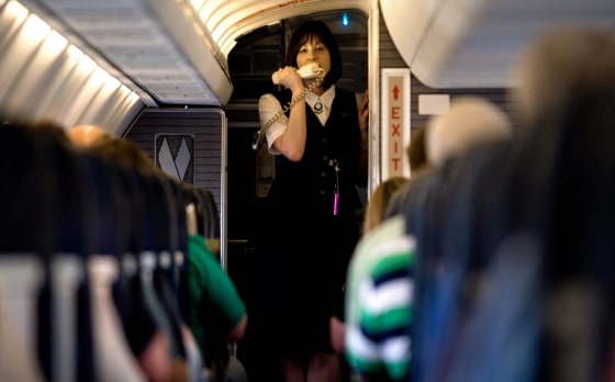 Image: Flight attendant