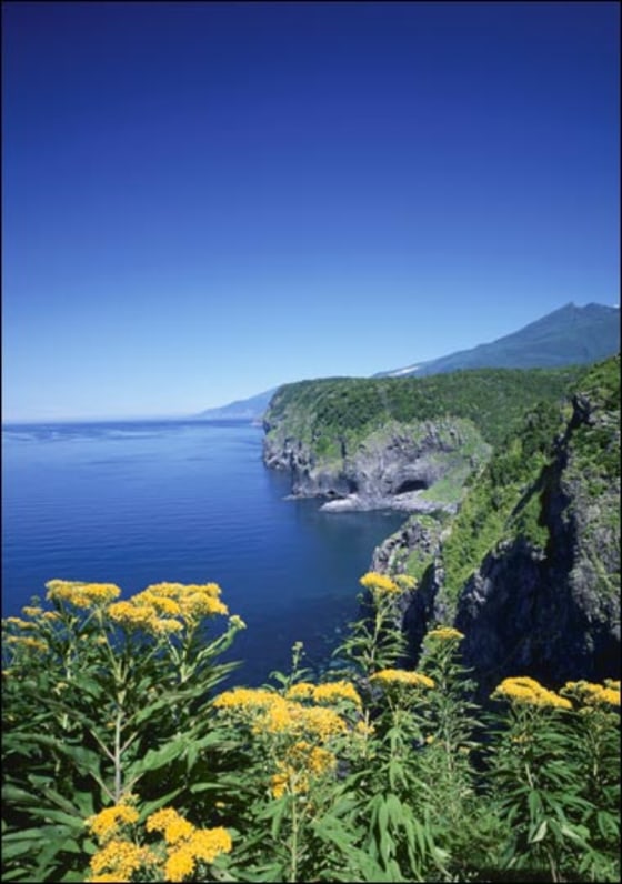 Getty Images | Tsunami Central? The Japanese island of Hokkaido, pictured here, bears sediments that store a record of at least nine tsunamis that raged over 33-foot cliffs over the course of the last 3,000 years. Based on that history, scientists believe the region could be in store for mega-tsunamis in future years. | Video: Discovery Earth