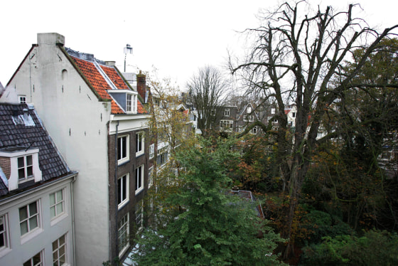 Tree in Anne Frank’s diary to be cut down