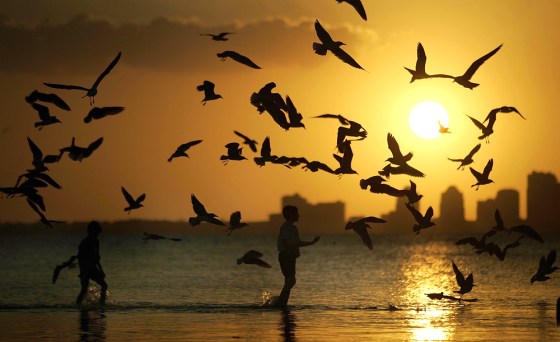 Image: Balmy Spring Weather Settles Over Miami