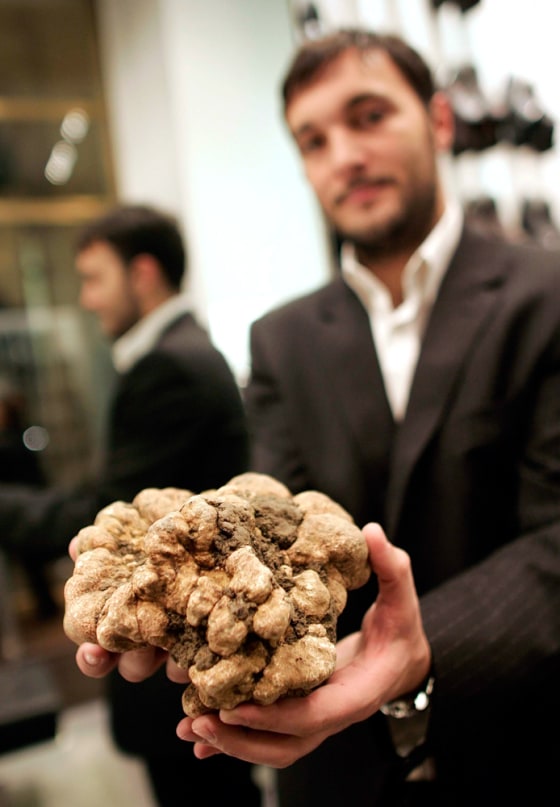Image: Italian truffle hunter and trader Cristiano Savini holds a 1.5kg (3.3lb) white truffle of Tuscany in downtown Rome